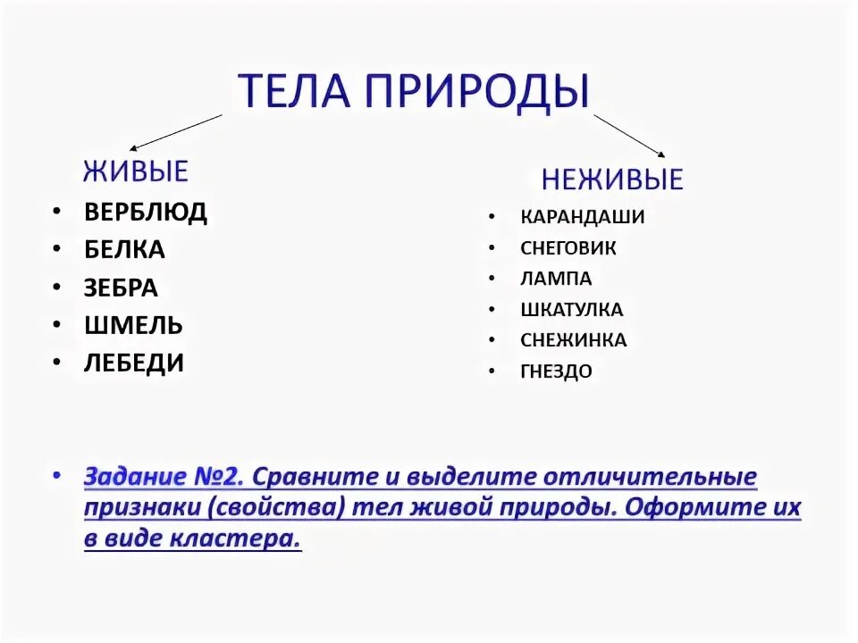 Неживые организмы состоят. Тела природы. Тела природы 2 класс. 5 Признаков живой природы. Тела природы список.