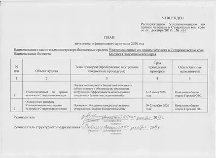 Приказ о проведении аудита