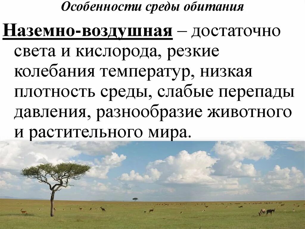 Описание наземно воздушной среды. Наземно-воздушная среда обитания характеристика. Признаки наземно воздушной среды. Наземно-воздушная среда жизни характеристика. Естественное изменение условий обитания