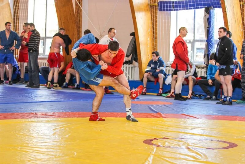 Первенство россии по борьбе в суздале