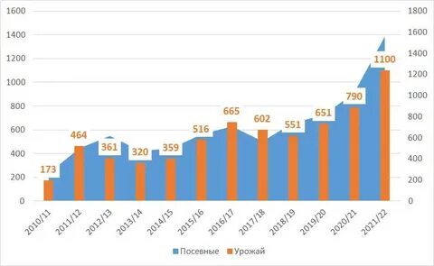 Итоги лета 2021 года