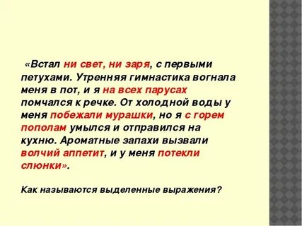 Ни один не встал