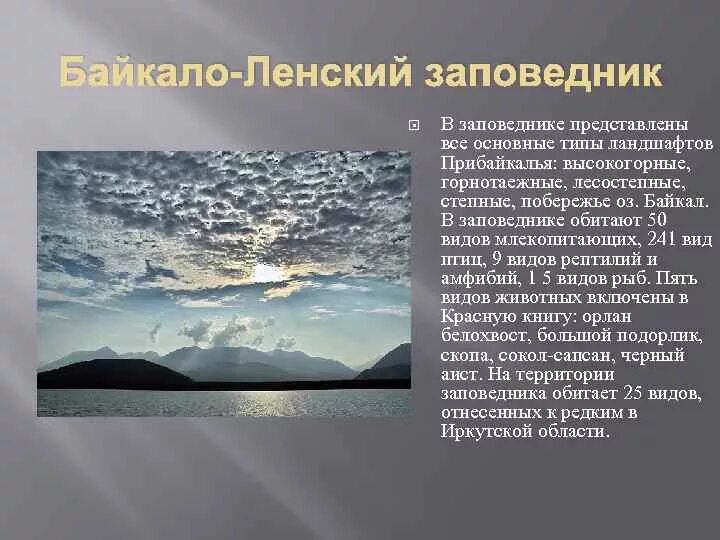 Байкальский заповедник 2 класс. Заповедники Иркутской области. Заповедники Иркутской области кратко. Заповедник Байкало-Ленский заповедник. Байкало-Ленский заповедник сообщение.