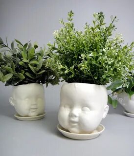 Head plant