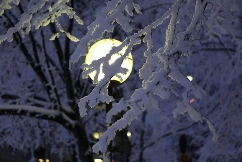 Луна песни снег. Полнолуние зима. Луна зимой. Снег за окном. Зимний вечер Луна.
