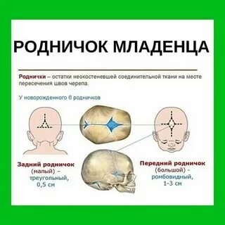 Темечко грудничка