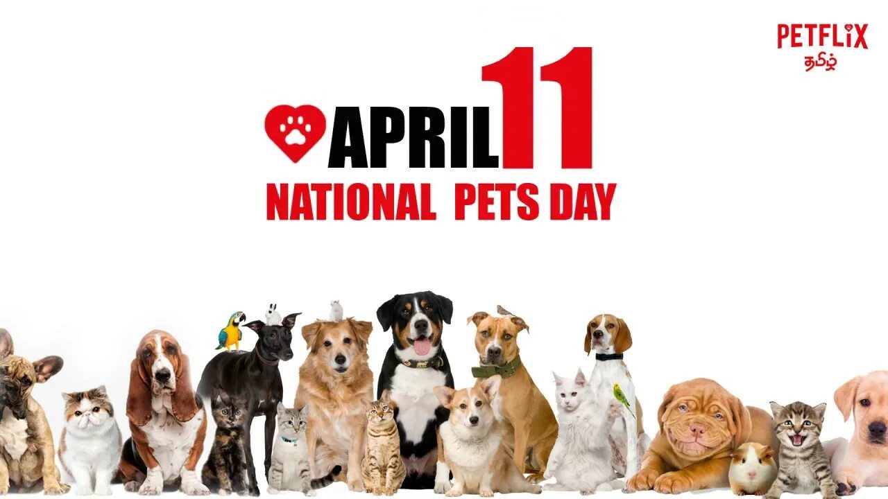 Days my pet. Pet Day. Happy Pet логотип. World Pets Day. Pet owners Day.