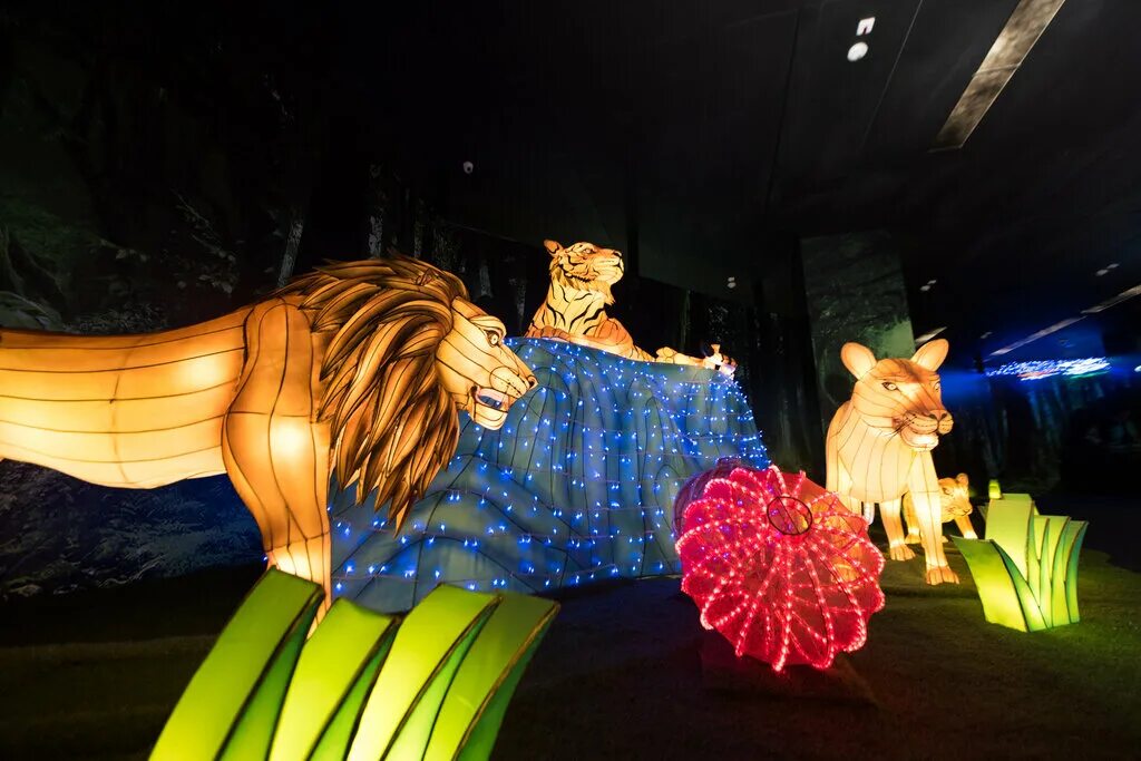 вау музей. вау парк. Wow парк сочи. вау парк. вау парк.