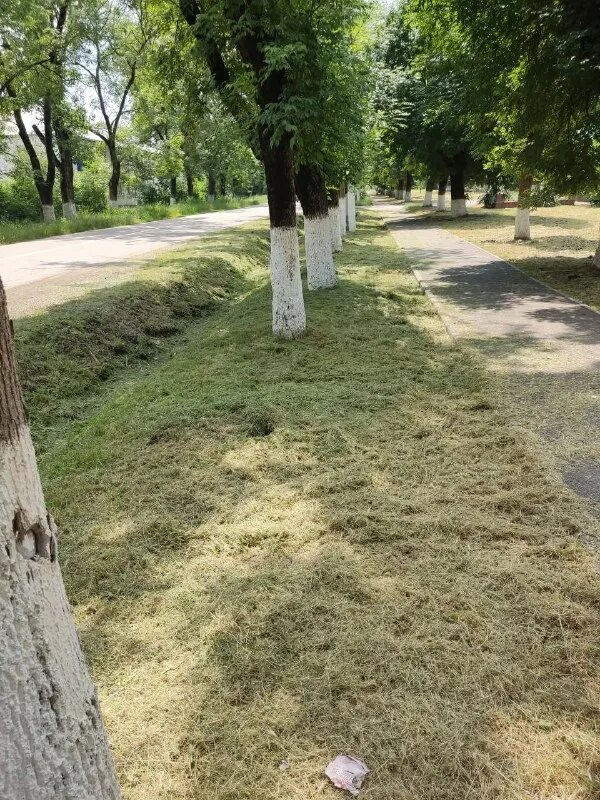 подслушано в северском