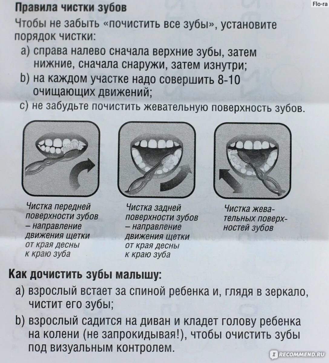 После чистки зубов можно ли пить чай. Схема чистки зубов. Чистим зубы!. Правильная методика чистки зубов зубной щёткой. Метод чистки зубов электрической щетки.