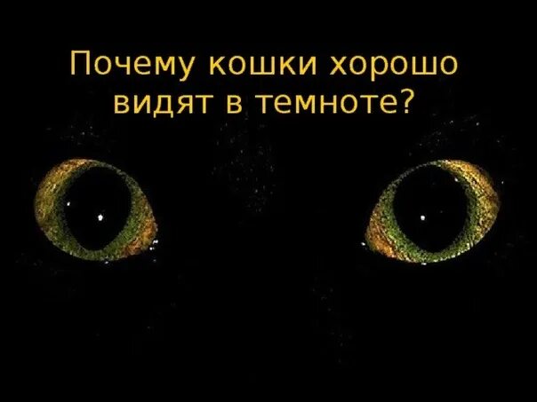 Почему я не вижу ночью