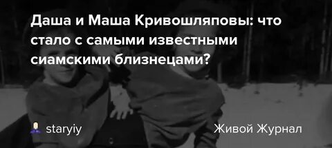 Даши и маши кривошляповой