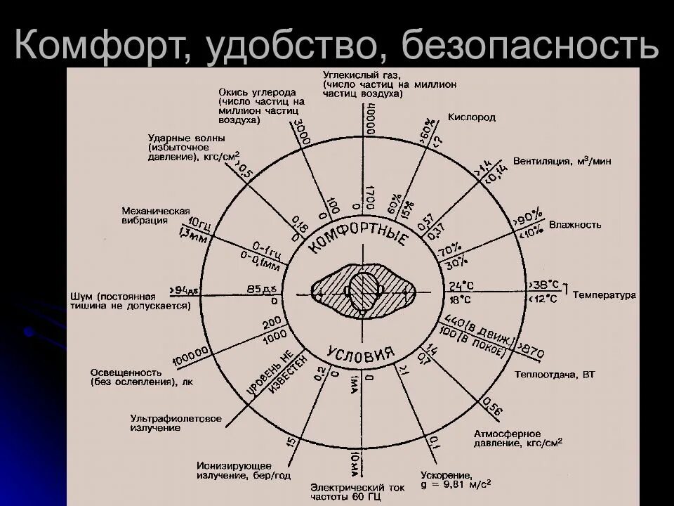 Комфорт, безопасность и удобство. Состав и структура эргономики. Основы и структура эргономики. Связь эргономики с другими науками.