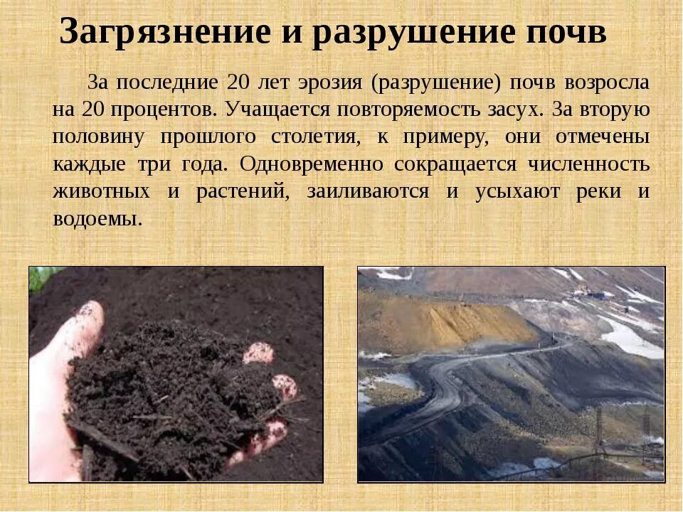 Загрязнение почвы. Экологические проблемы почв. Экологическая ситуация в Воронежской области. Почвенное загрязнение. Защита почвы от загрязнения
