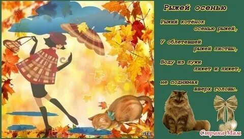 Стихи про осень и кота