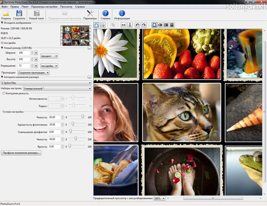Увеличить картинку. PHOTOZOOM Pro. Benvista PHOTOZOOM Pro. Benvista PHOTOZOOM Pro 8.0.6. Программа для увеличения изображения.