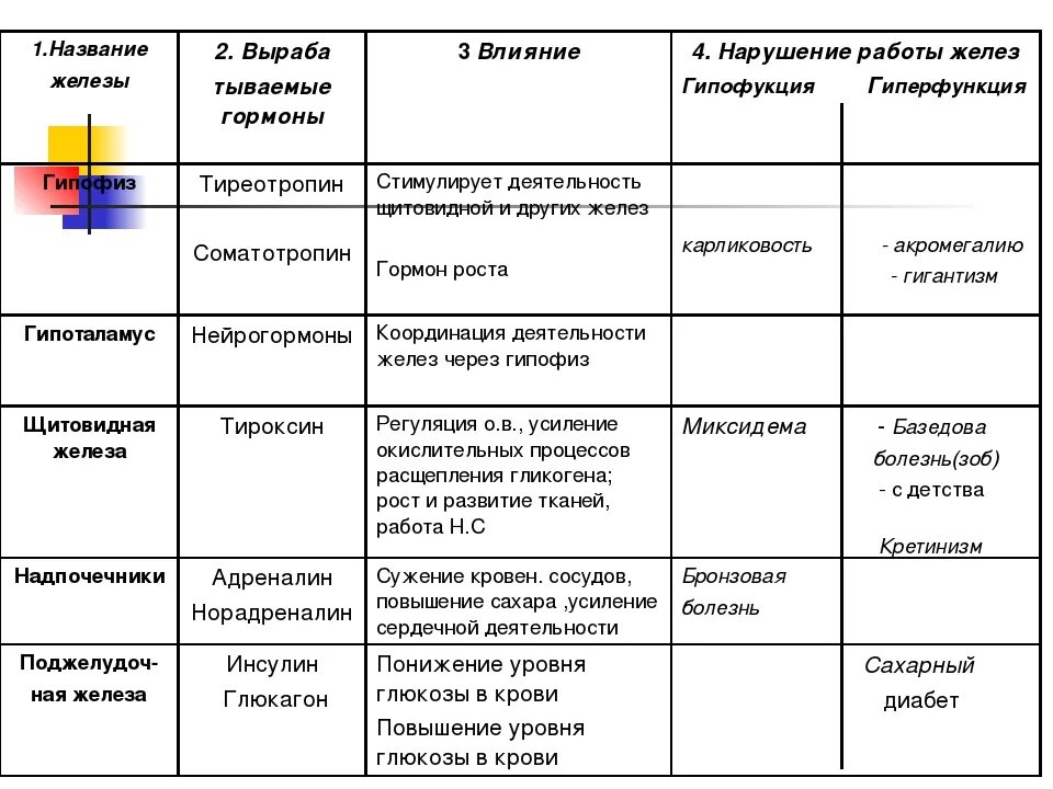 Название железы и функции железы. Таблица железы внутренней секреции железы. Функции желез внутренней секреции таблица. Таблица название желез гормоны функции. Характеристика желез внутренней секреции таблица.