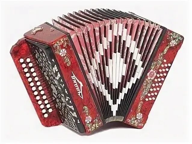 Гармошка 5