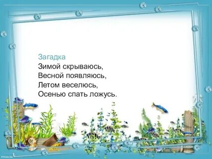 Зимой скрываюсь