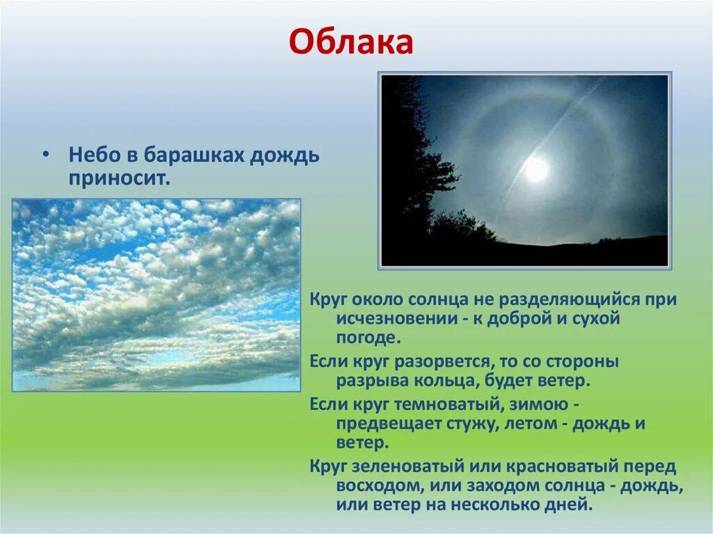 Примет погоды. Народные приметы о погодных явлениях. Научные приметы о погоде. Приметы для определения погоды. Рассказ о народных приметах о погоде.