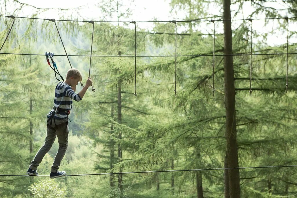 Go ape. Going ape. zip wire course. ape school &quot;ape school&quot;.