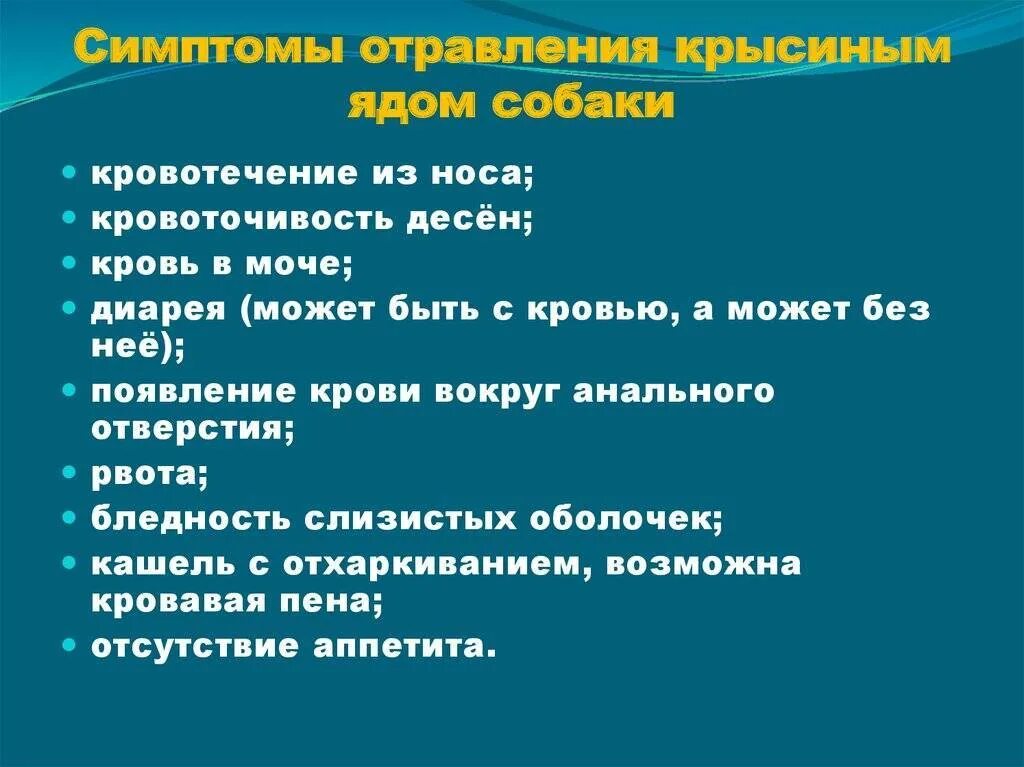 Симптомы отравления крысиным ядом. Крысиный яд отравление. Отравление крысиным ядом у собак. Отравление мышиным ядом симптомы. Отравление отравой