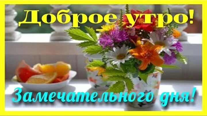 Тик ток пожелание хорошего. Тик ток открытки с добрым утром. Тик ток пожелать доброго утра. Тик ток доброе утро. ТИКТОК поздравления с добрым утром.