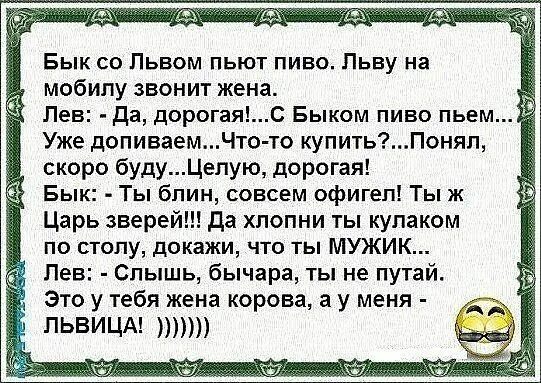 Анекдот про два быка. Анекдот про льва и быка. анекдот про льва.