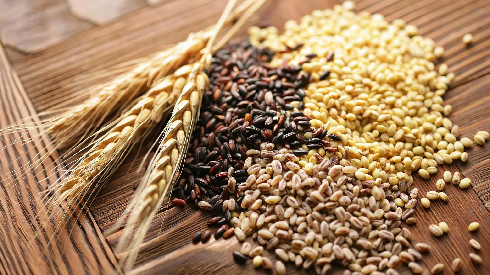 Т к многие виды. Ячмень, рис, просо. Зерновые растения. Зерновые и масленичные культуры. Цельные зерна.