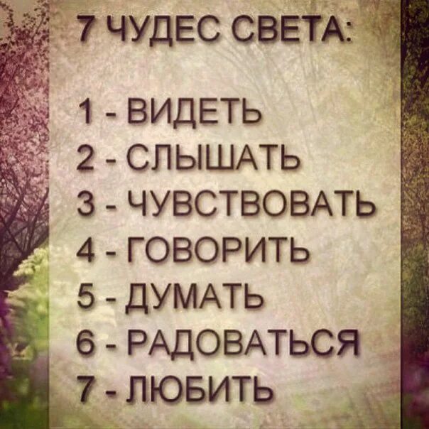 7 Чудес света видеть слышать. Семь чудес видеть слышать.... Семь чудес света видеть слышать чувствовать говорить. Вижу слышу чувствую.