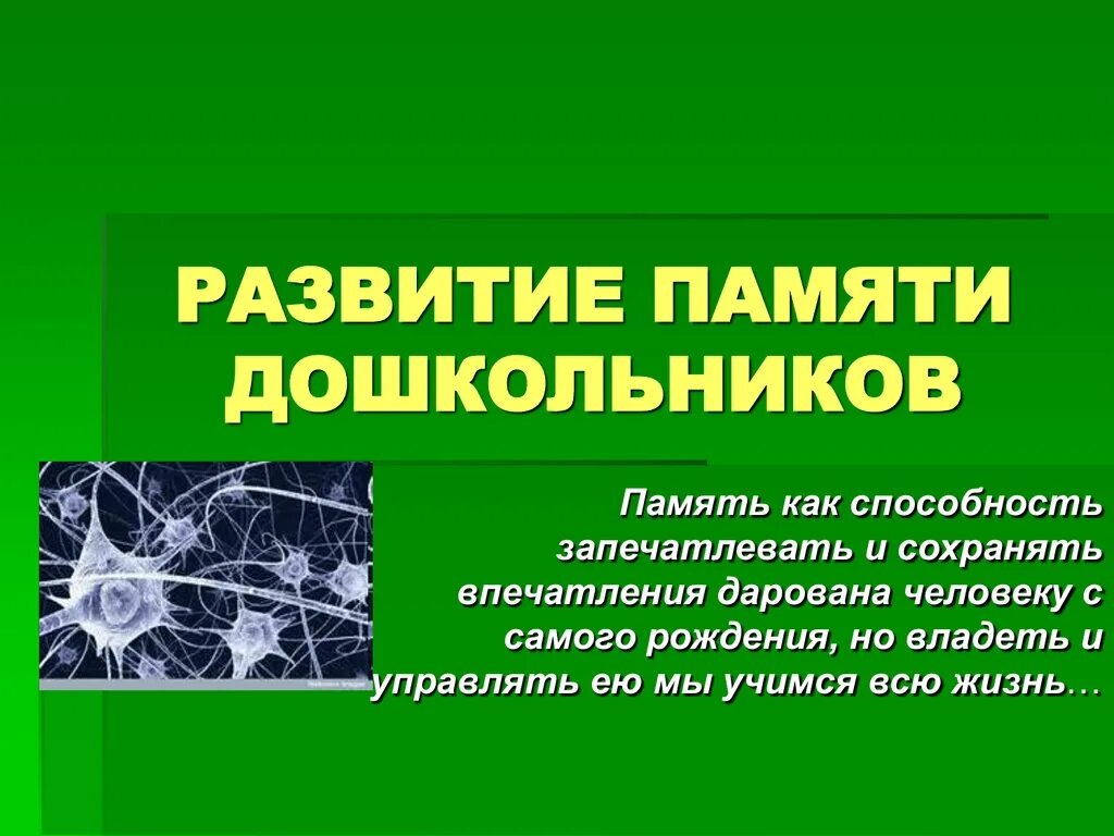 Особенности памяти дошкольников. Характеристика памяти дошкольника. Особенности развития памяти у дошкольников. Память у дошкольников кратко. Внимание и память дошкольного возраста