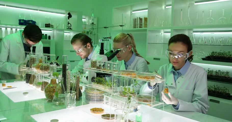 Научный центр биотехнологии. Лаборатория биотехнологии. Пищевая биотехнология. ГМО лаборатория. Лаборатория биотехнологии растений.