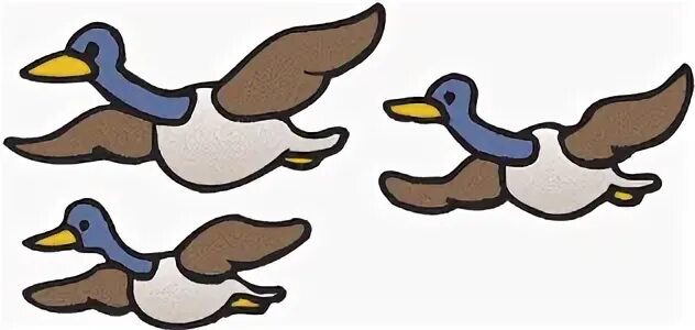 Fly flashcards. Fly verb. летающие карточки. to fly flashcard. action verbs fly.