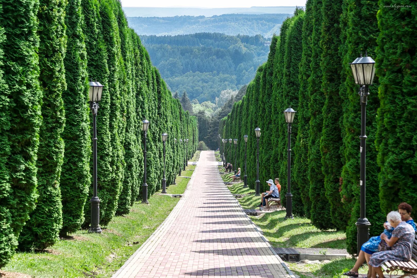 пятигорску. ессентуки парк минеральные воды. санаторий кисловодск пятигорск ессентуки. кисловодск ессентуки. санаторий кисловодск пятигорск ессентуки.