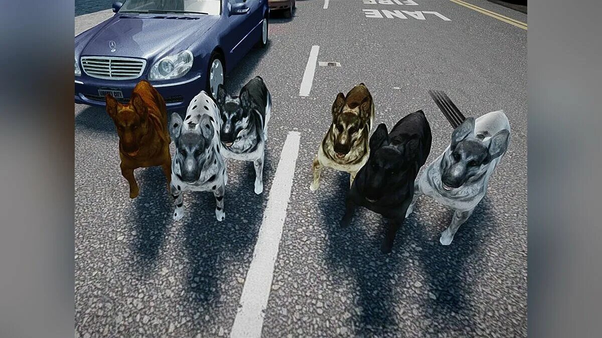 Dog script