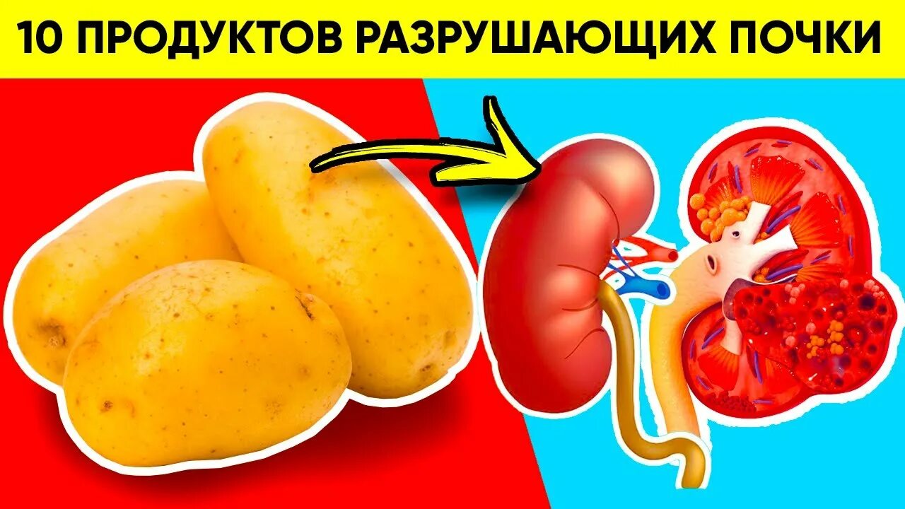 Продукты разрушающие почки. Продукты полезные для почек. Вредная еда для почек. Фрукты вредные для почек. Пища разрушить