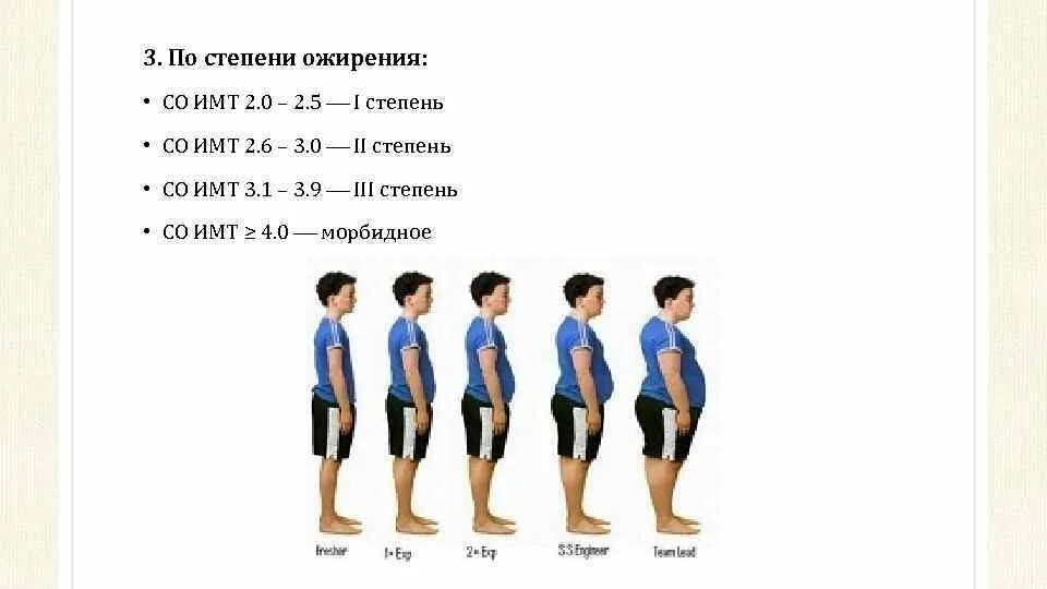 2 стадия ожирения