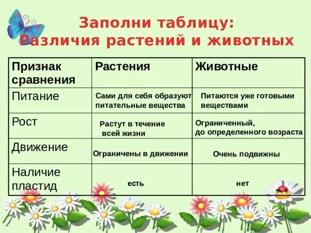 Отличие животных от растений признаки для сравнения таблица. Различия между растениями и животными таблица. Различия растений и животных таблица. Таблица животных и растений. Перечислить отличия животных