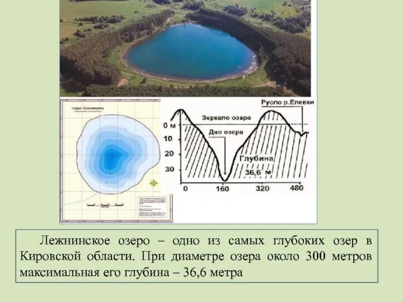 Максимальная глубина озера виштинец. Лежнинское озеро Кировская область. Глубина Лежнинского озера. Лежнинское озеро озеро Кировской области. Лежнинское озеро в Пижанском районе Кировской области.