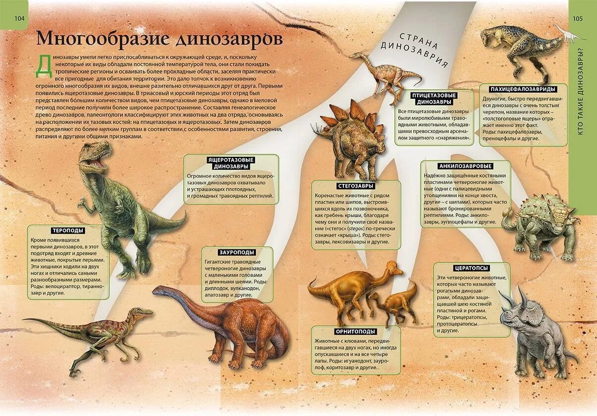 В мире животных в какое время