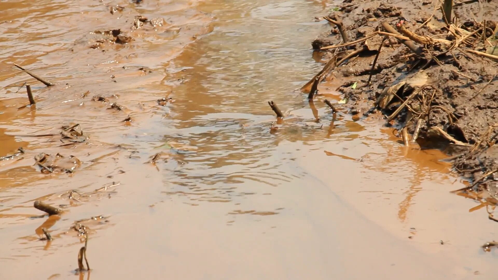 Грязная вода видео. Грязная вода. Мутная вода. Грязная мутная вода.