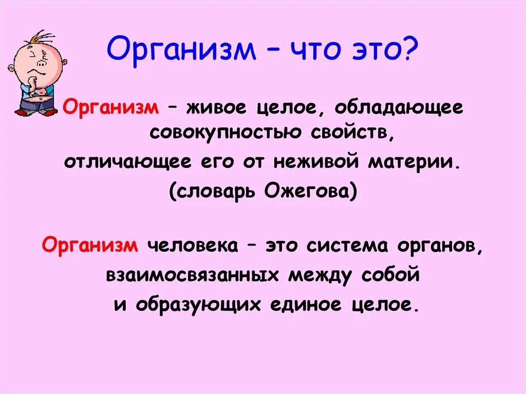 Темы человек живой организм. Организм живое целое. Организм единое целое. Что такое организм человека живое целое обладающее.