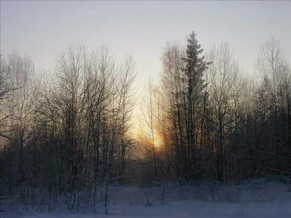 Песни хороводит снег с дождем