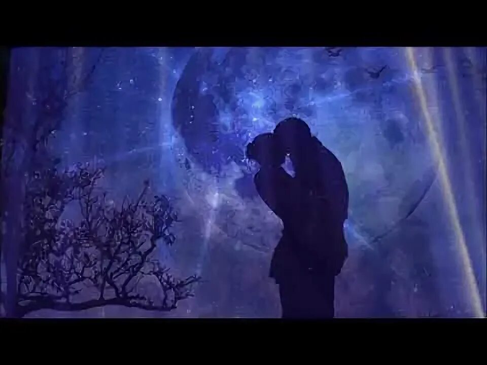 Я так люблю звездную ночь кто поет. Я так люблю звездную ночь кто поет