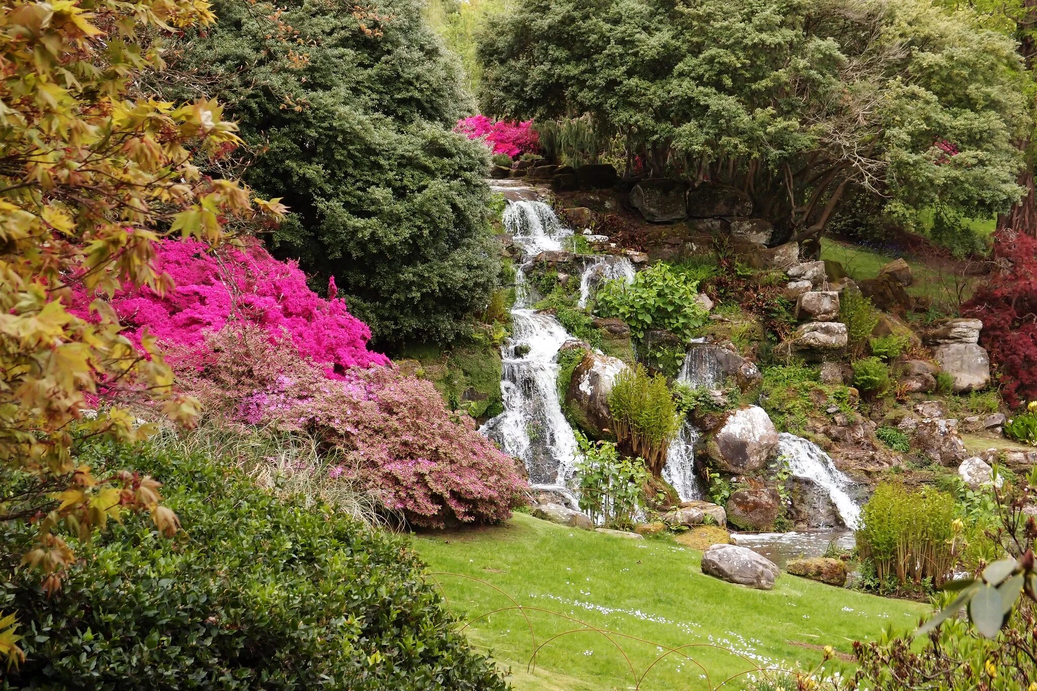 Uk parks. Парк Бельвиль водопады. Парк Шеффилд Гарден. Гарден парк Англия. Сады Эксбери Великобритания.