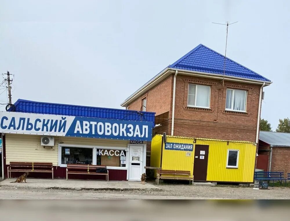 Сальский автовокзал. Автостанция Сальск. Посёлок Белозерный Сальский район. Поселок Белозерный Ростовская область.