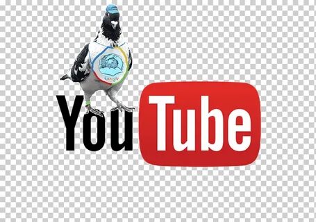 Youtube live2