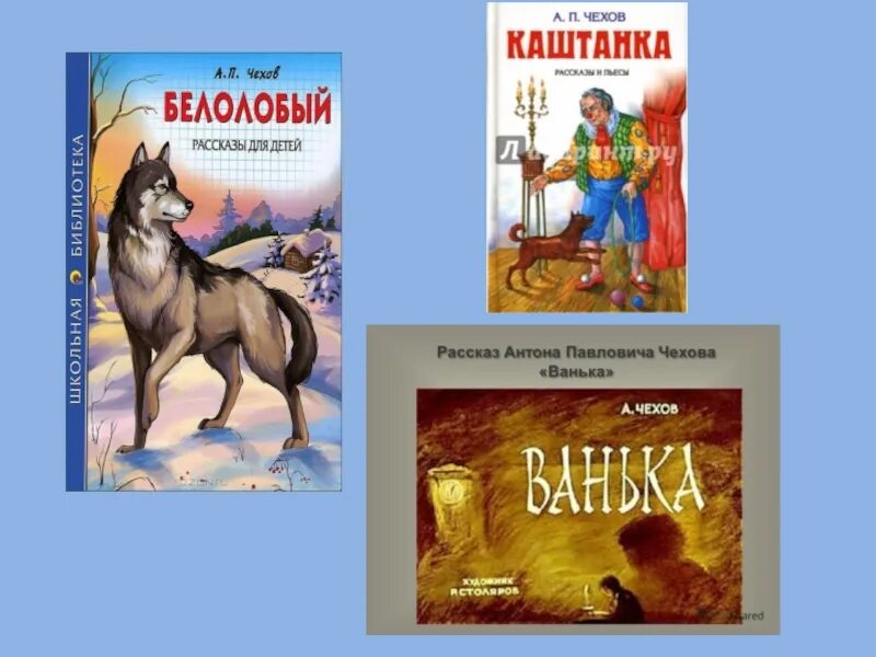 Книга чехова белолобый. Чехов рассказы для детей. Произведения Чехова для детей дошкольного возраста. Каштанка (с иллюстрациями). Каштанка и белолобый Чехов.