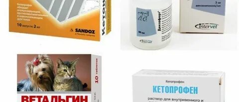 Какие обезболивающие можно котенку