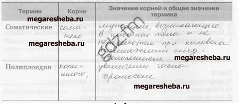 Как это общее значение